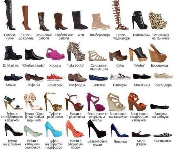 Как разобраться в разнообразии женской обуви?, - 198183 - Кашалот